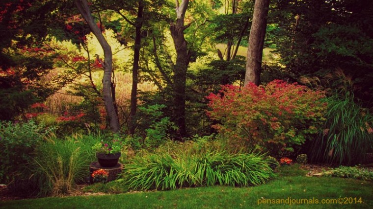 ???????????????????????????????