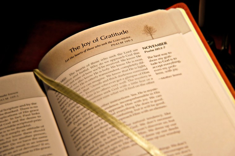 joy of gratitude - Copy