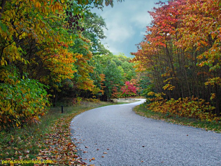 color trees 2 - Copy