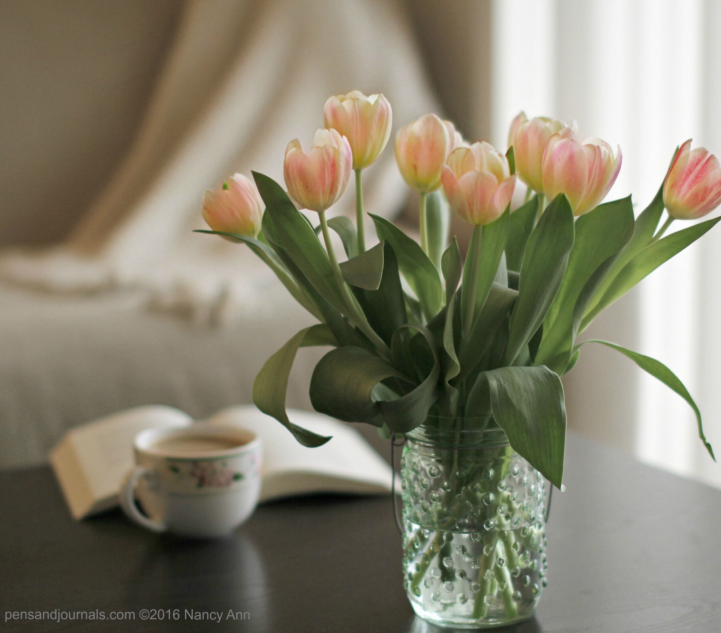 tulips 2 wdp
