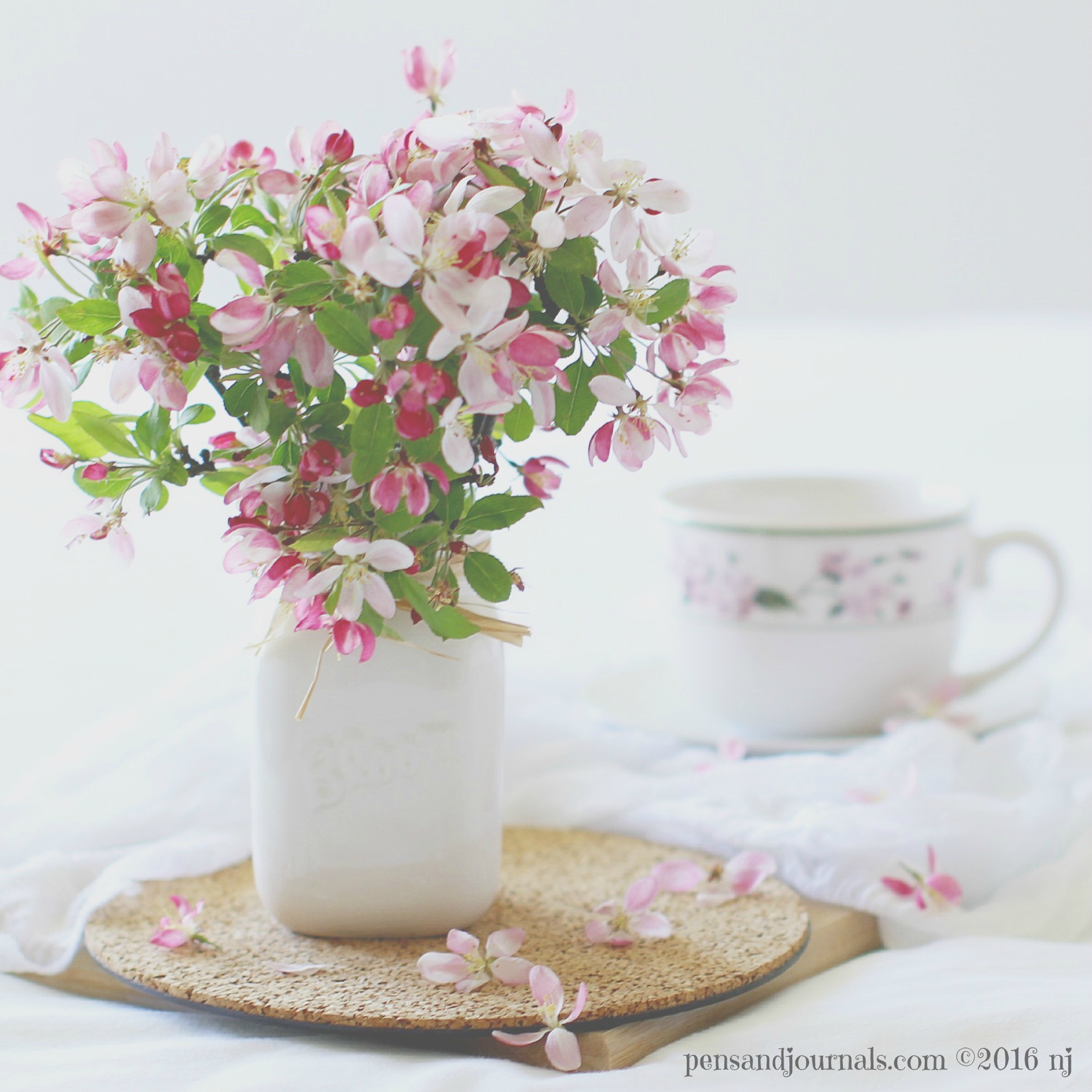 crabapple in vase wdp